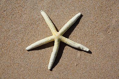 《仁王3》全新预告 2026年2月6日发售